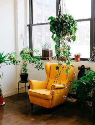 Bringing Nature Indoors: Incorporating Natural Elements in Your Home Decor Featured Image